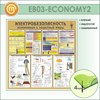 .     (EB-03-ECONOMY2)